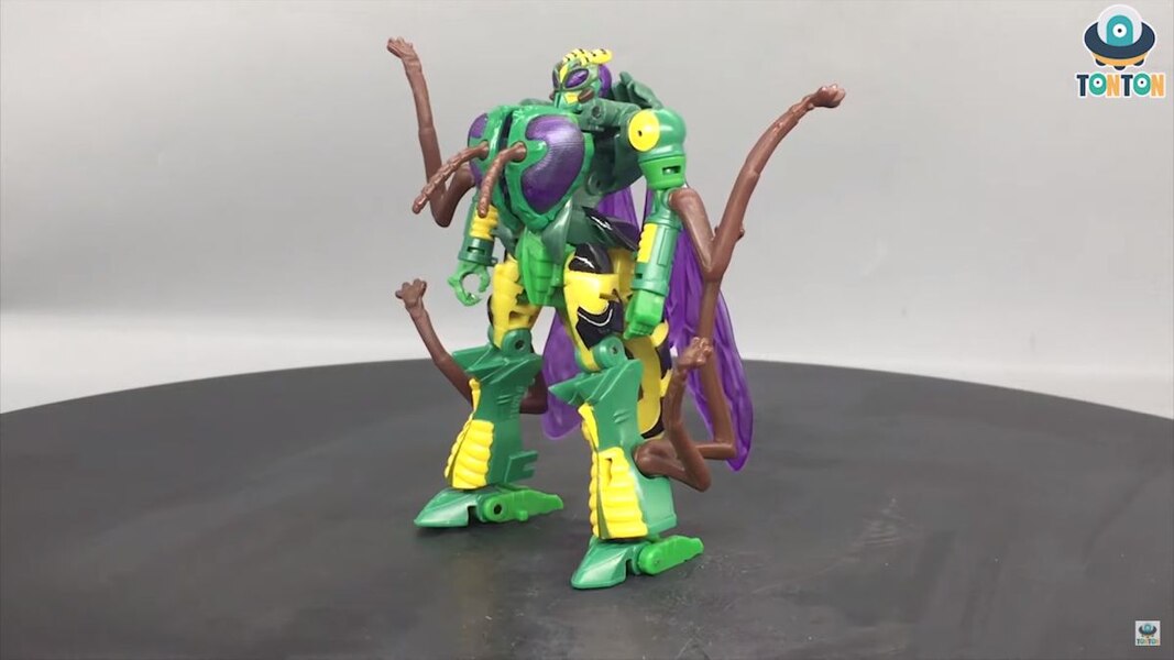 Transformers Kingdom Deluxe Class Waspinator  (16 of 38)